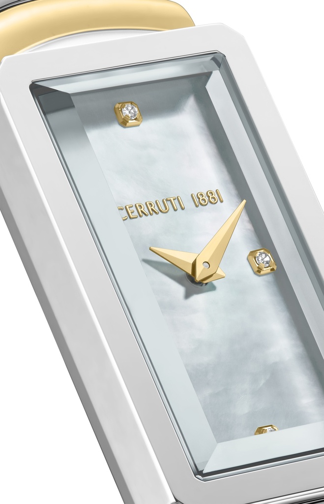 CW-VALLUCCIOLE CIWLG0086202